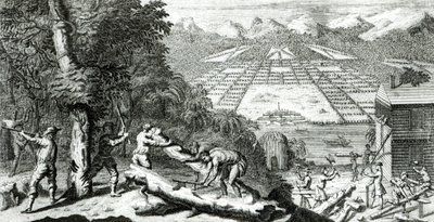 Illustration aus 
